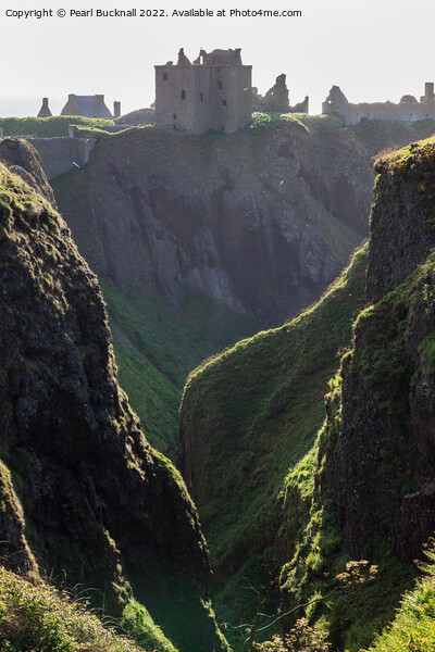Dunnottar Castle on Cliffs Scotland Picture Board by Pearl Bucknall