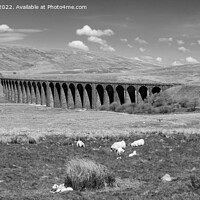 Buy canvas prints of Ribblehead Viaduct Yorkshire Black and White by Pearl Bucknall