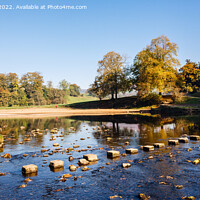 Buy canvas prints of River Wharfe Stepping Stones Yorkshire Dales by Pearl Bucknall