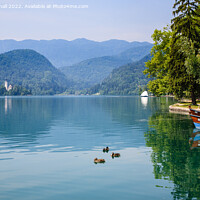 Buy canvas prints of Blue Lake Bled Slovenia by Pearl Bucknall