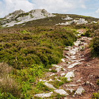 Buy canvas prints of Shropshire Way Path and Stiperstones  by Pearl Bucknall