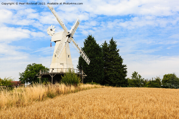 Woodchurch Windmill Kent Countryside Picture Board by Pearl Bucknall
