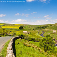 Buy canvas prints of Upper Swaledale in Yorkshire Dales England by Pearl Bucknall