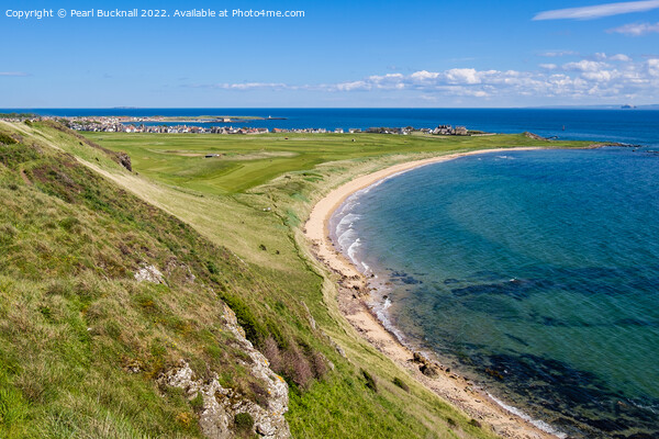 High View to Elie and Earlsferry Fife Scotland Picture Board by Pearl Bucknall