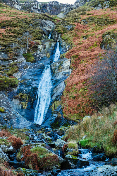 Rhaeadr Bach Waterfall Abergwyngregyn Picture Board by Pearl Bucknall
