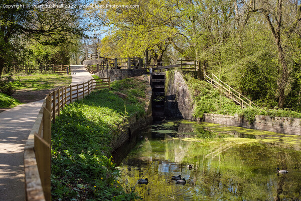 The Fourteen Locks on Monmouthshire Canal Picture Board by Pearl Bucknall