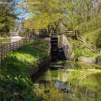 Buy canvas prints of The Fourteen Locks on Monmouthshire Canal by Pearl Bucknall