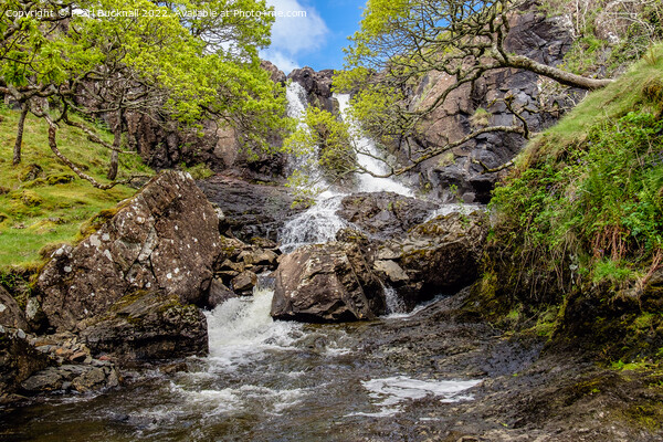 Eas Fors Waterfall Mull Scotland Picture Board by Pearl Bucknall