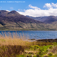 Buy canvas prints of Loch Na Keal Isle of Mull Scotland by Pearl Bucknall