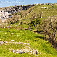 Buy canvas prints of Malham Cove and Malham Beck Yorkshire Dales Nation by Pearl Bucknall