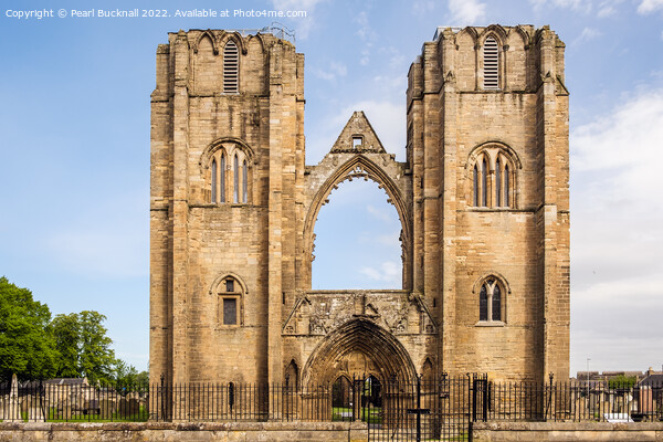 Elgin Cathedral Ruins Moray Scotland Picture Board by Pearl Bucknall