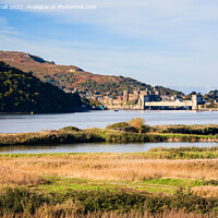 Buy canvas prints of Conwy River and RSPB Reserve Wales by Pearl Bucknall