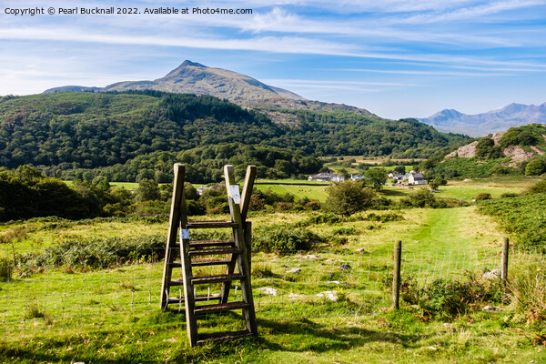 Path and View to Moel Siabod mountain in Snowdonia Picture Board by Pearl Bucknall