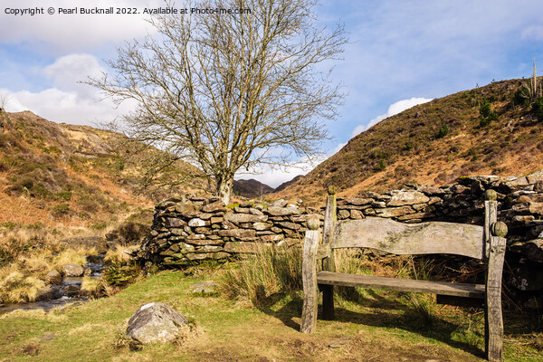 Cwm Bychan Bench Snowdonia Wales Picture Board by Pearl Bucknall