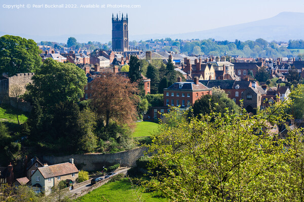 Ludlow Cityscape Shropshire England Picture Board by Pearl Bucknall