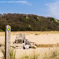 Buy canvas prints of Wales Coast Path Oxwich Beach Gower by Pearl Bucknall
