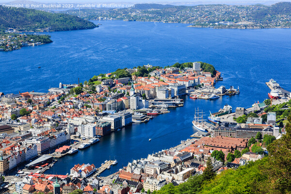 Bergen Harbour from Floyen Norway Picture Board by Pearl Bucknall