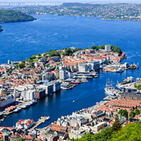 Buy canvas prints of Bergen Harbour from Floyen Norway by Pearl Bucknall