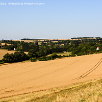 Buy canvas prints of North Downs Countryside Kent by Pearl Bucknall