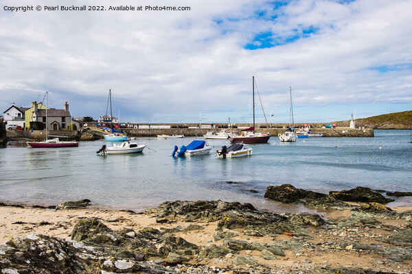 Cemaes Harbour Isle of Anglesey Wales Picture Board by Pearl Bucknall