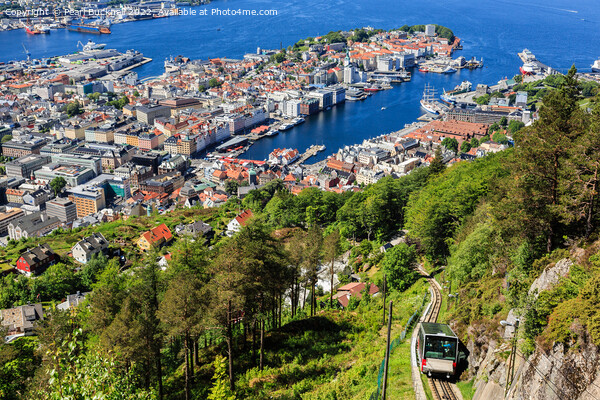 Bergen from Mount Floyen Norway Picture Board by Pearl Bucknall