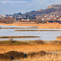 Buy canvas prints of Conwy RSPB Reserve Lagoons by Pearl Bucknall