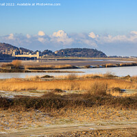 Buy canvas prints of Conwy RSPB Reserve in Winter by Pearl Bucknall