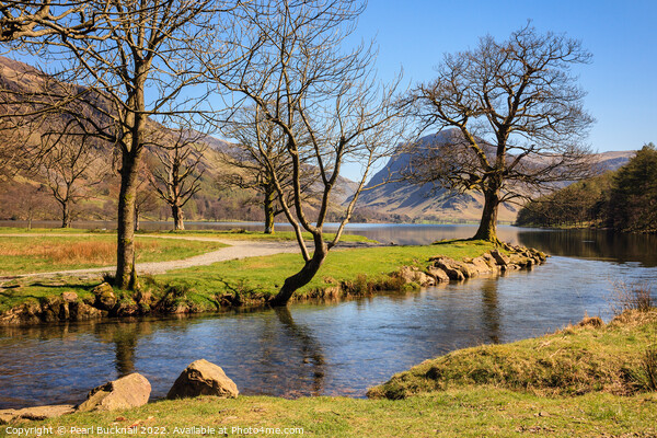 Buttermere Lake District  Picture Board by Pearl Bucknall