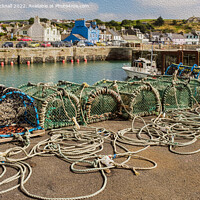 Buy canvas prints of Portpatrick Dumfries and Galloway Oil Painting by Pearl Bucknall