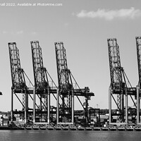Buy canvas prints of Port of Felixstowe Cranes Black and Whte by Pearl Bucknall