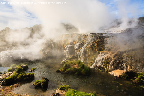 Rotorua Geothermal Pool and Geysers New Zealand Picture Board by Pearl Bucknall