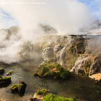 Buy canvas prints of Rotorua Geothermal Pool and Geysers New Zealand by Pearl Bucknall