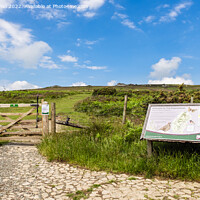 Buy canvas prints of Path to Stiperstones Shropshire by Pearl Bucknall