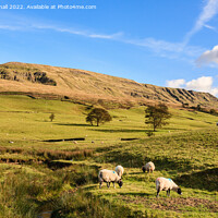 Buy canvas prints of English Countryside Eden Valley England by Pearl Bucknall