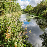 Buy canvas prints of Grantham Canal Lincolnshire England by Pearl Bucknall