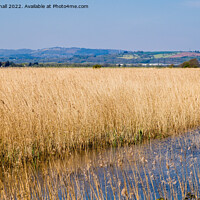 Buy canvas prints of Newport Wetlands Nature Reserve Gwent Levels Wales by Pearl Bucknall
