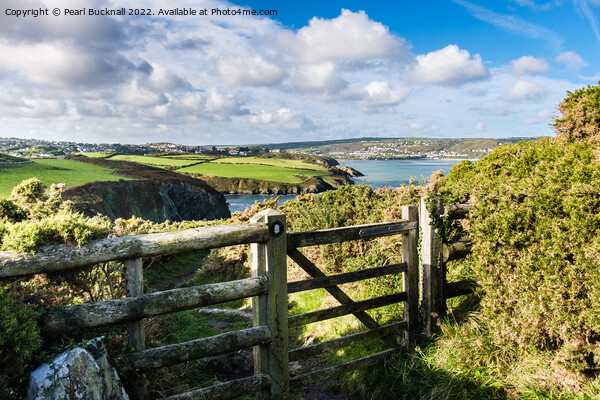 Wales Coastal Path on Pembrokeshire Coast Picture Board by Pearl Bucknall