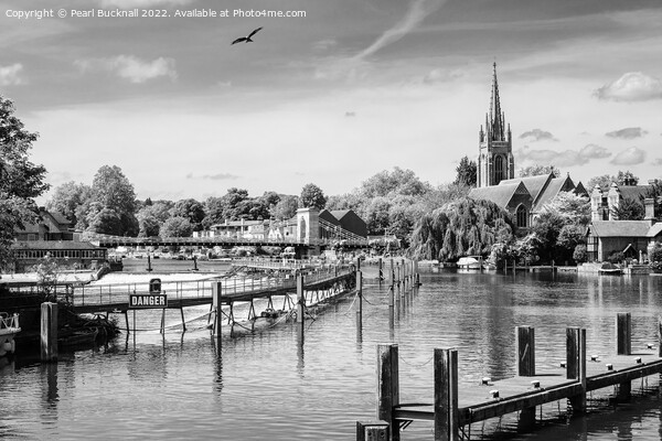 Red Kite over River Thames at Marlow Mono Picture Board by Pearl Bucknall