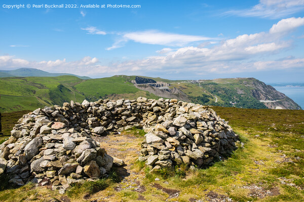 Foel Lus View North Wales Coast Picture Board by Pearl Bucknall