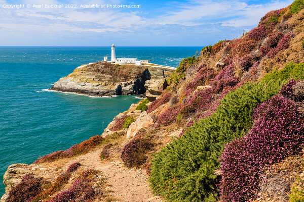 South Stack Anglesey Wales Outdoor Picture Board by Pearl Bucknall