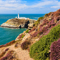 Buy canvas prints of South Stack Anglesey Wales Outdoor by Pearl Bucknall