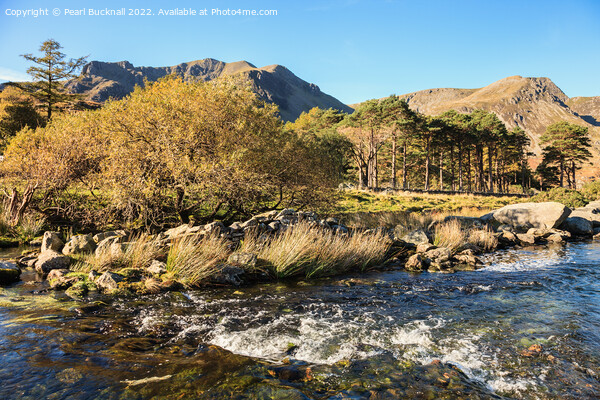 Afon Ogwen River Snowdonia Wales Picture Board by Pearl Bucknall