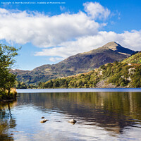 Buy canvas prints of Yr Aran Reflection in Llyn Gwynant Lake Snowdonia by Pearl Bucknall