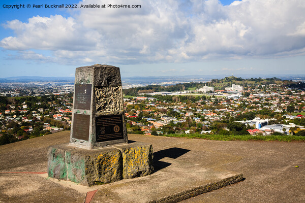 Mount Eden Auckland New Zealand Picture Board by Pearl Bucknall