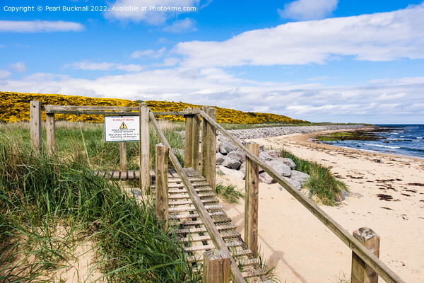 Steps to Royal Dornoch Golf Club from Beach Picture Board by Pearl Bucknall