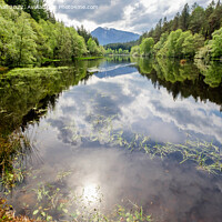 Buy canvas prints of Glencoe Lochan Highland Scotland by Pearl Bucknall