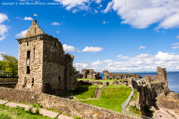 St Andrews Castle Fife Scotland Picture Board by Pearl Bucknall