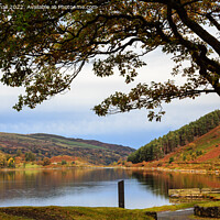 Buy canvas prints of Llyn Geirionydd Lake in Autumn Snowdonia by Pearl Bucknall