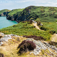 Buy canvas prints of Coast Path Anglesey Wales by Pearl Bucknall