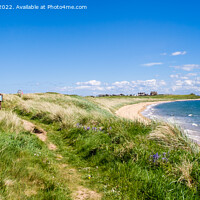 Buy canvas prints of Fife Coastal Path Elie Scotland by Pearl Bucknall